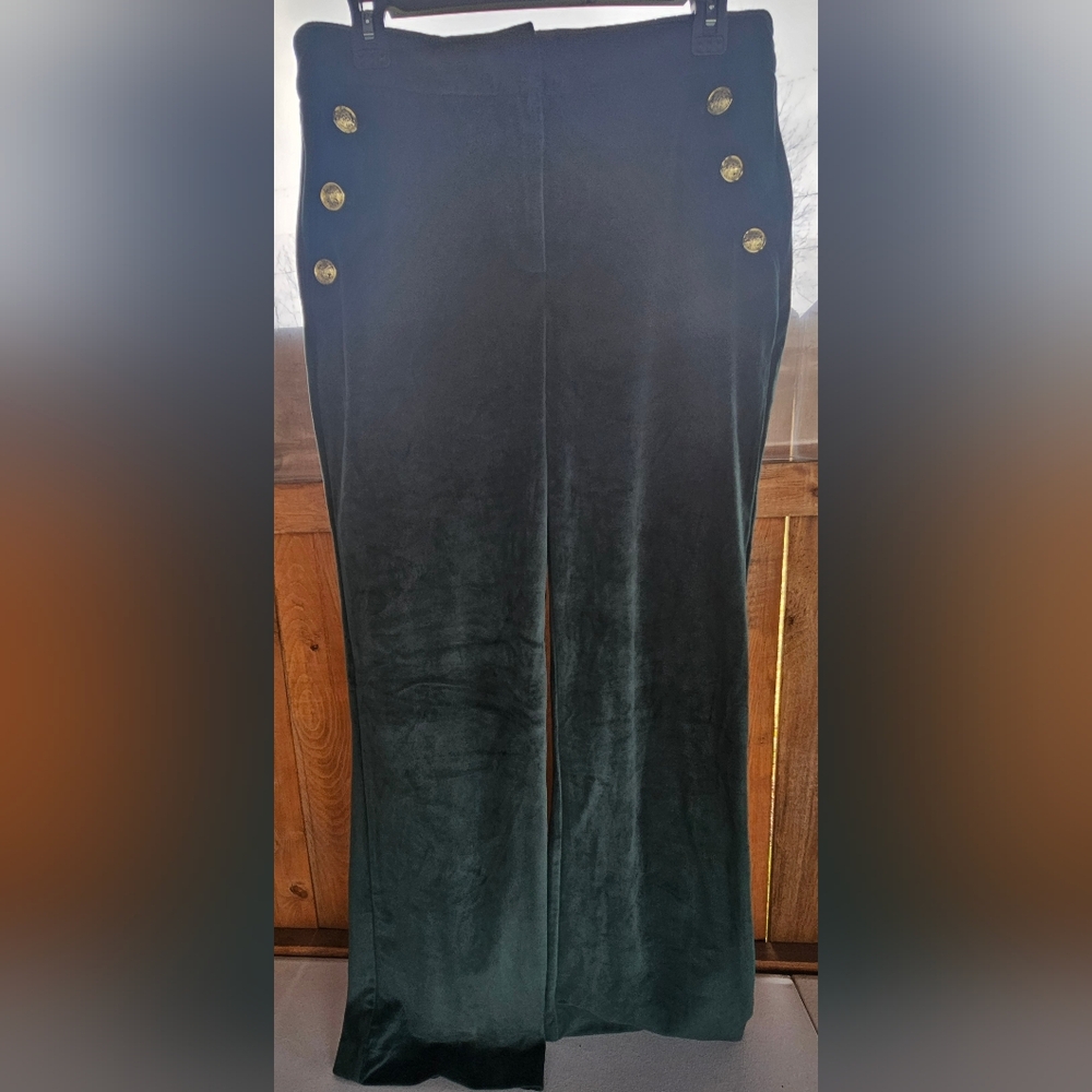 Elegant Dark Green Velvet Pants NEW no tags